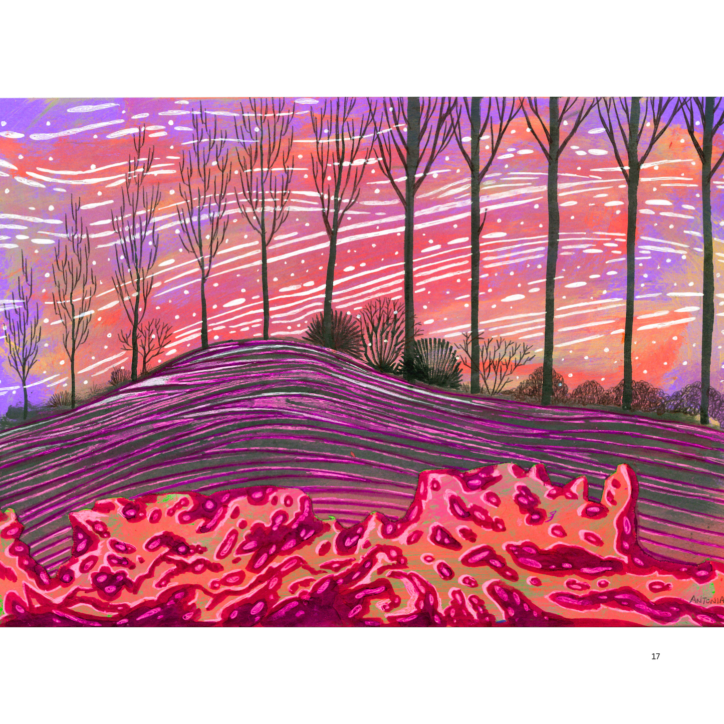 2O24 • Media Mix Landscapes A4 (70 unique illustrations)