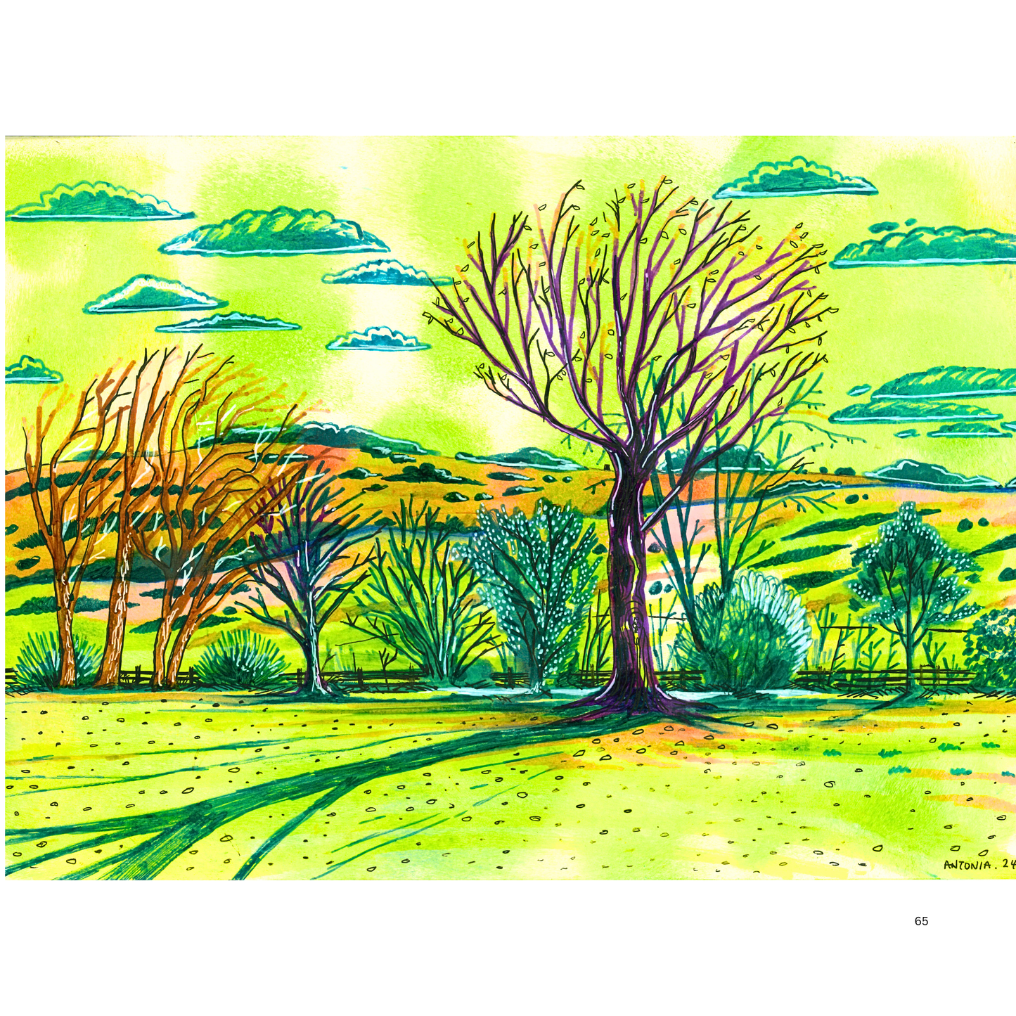 2O24 • Media Mix Landscapes A4 (70 unique illustrations)