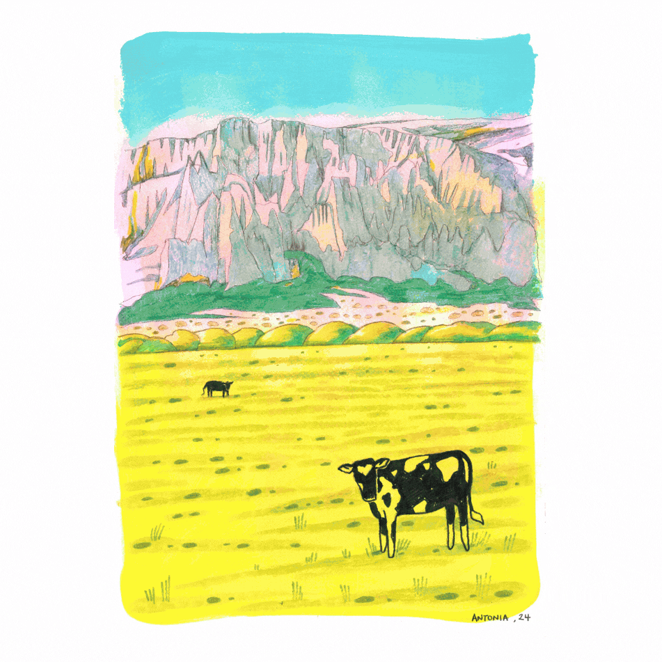 2O24 • Media Mix A3 (42 unique illustrations)